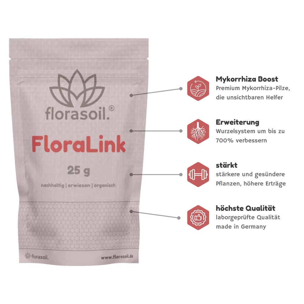 FloraLink 25g Beutel mit 4 Produktvorteilen