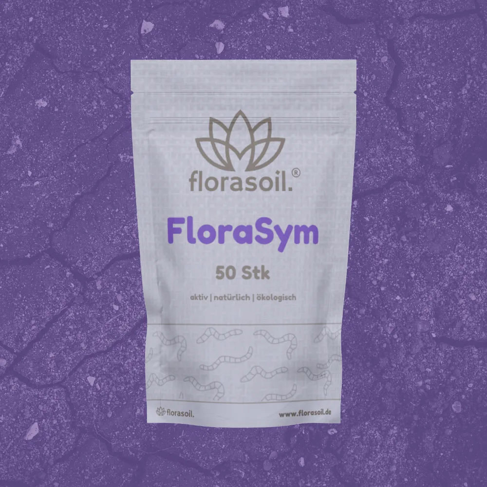 FloraSym Beutel 50 Stk. vor lilanem Hintergrund mit Erde