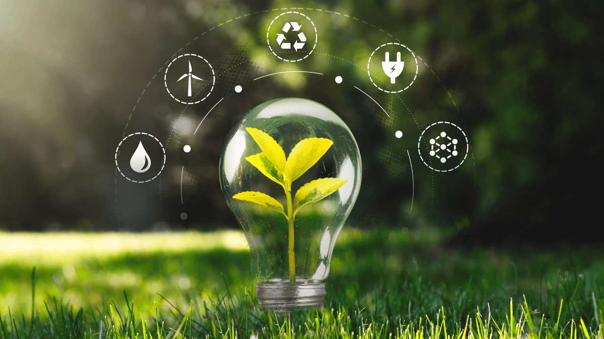 Gesunde Pflanzen durch Living Soil Vorteile